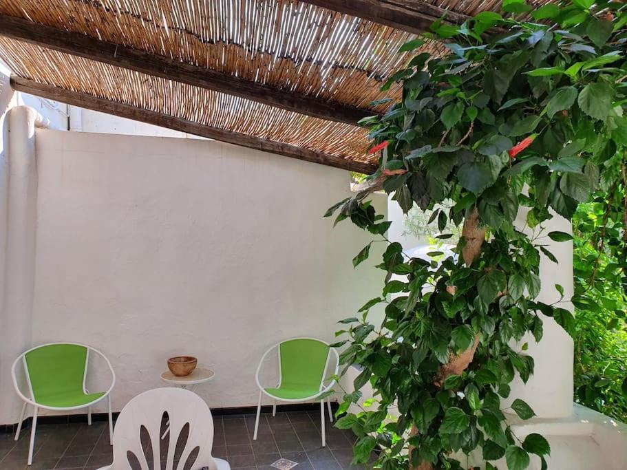 Stromboli Vacanze Eksteriør bilde