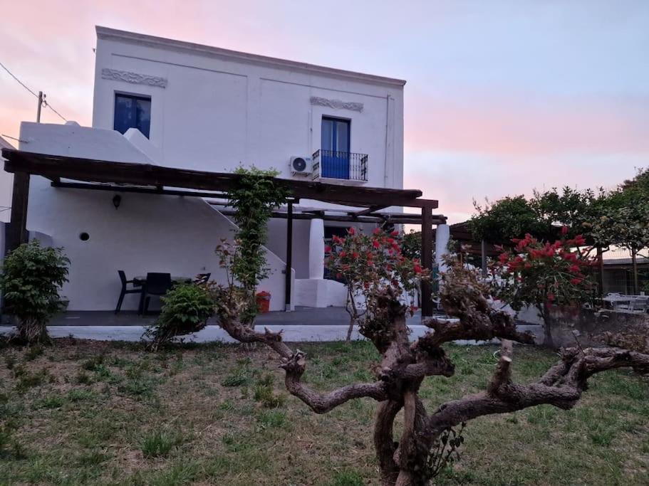 Stromboli Vacanze Eksteriør bilde